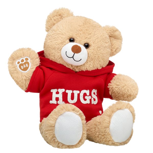 BUILD-A-BEAR clothes hugs hoodies - Image 2