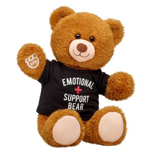 BUILD-A-BEAR Clothes emotional support bear T-shirt