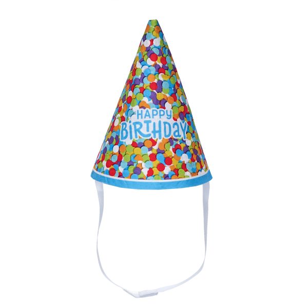 BUILD-A-BEAR BIRTHDAY festhatt