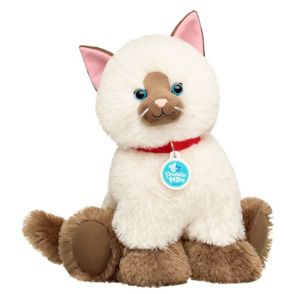 BUILD-A-BEAR PROMIS PET gosedjur Ragdoll kattunge 28 cm - Bild 2