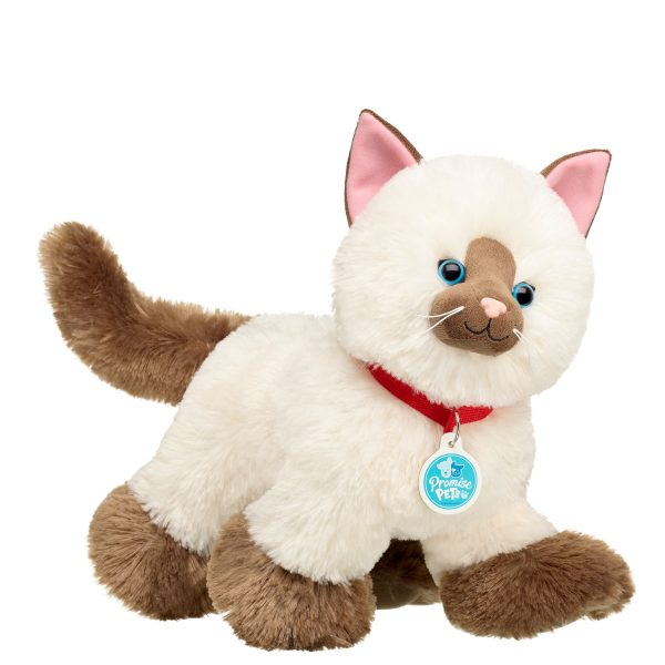 BUILD-A-BEAR PROMIS PET gosedjur Ragdoll kattunge 28 cm - Bild 3