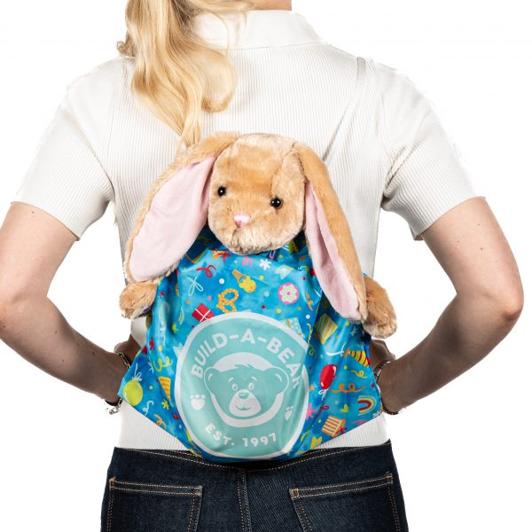 BUILD-A-BEAR BIRTHDAY bear carrier - Image 2