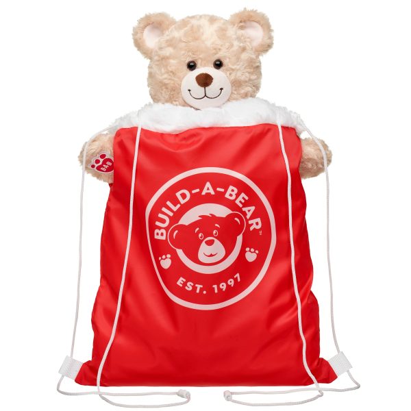 BUILD-A-BEAR HOLIDAY jultomtens väska björnbärare - Bild 2