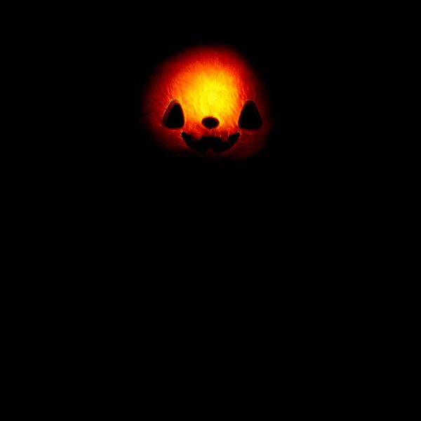 BUILD-A-BEAR plush toy light up pumkpin bear plush 40 cm - Image 3