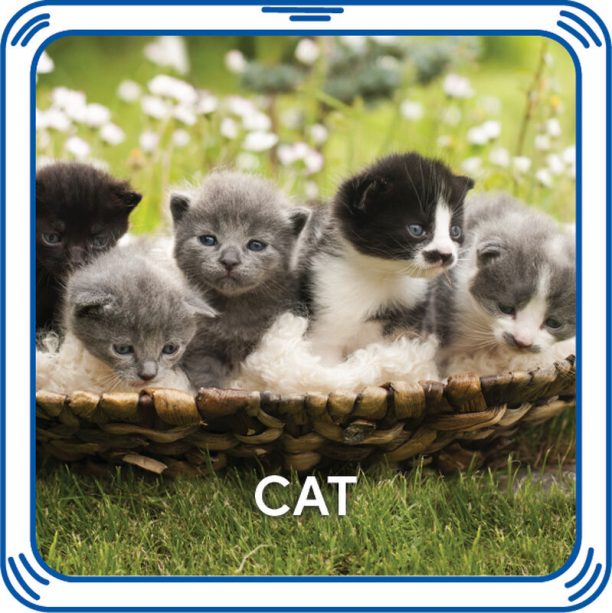 BUILD-A-BEAR coresounds kitty sounds